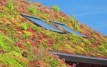 Much Hoole Town living roof systems