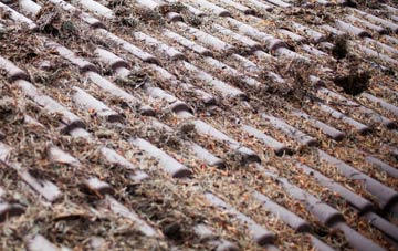 Much Hoole Town roof cleaning companies