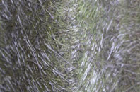 Much Hoole Town fibreglass roof work